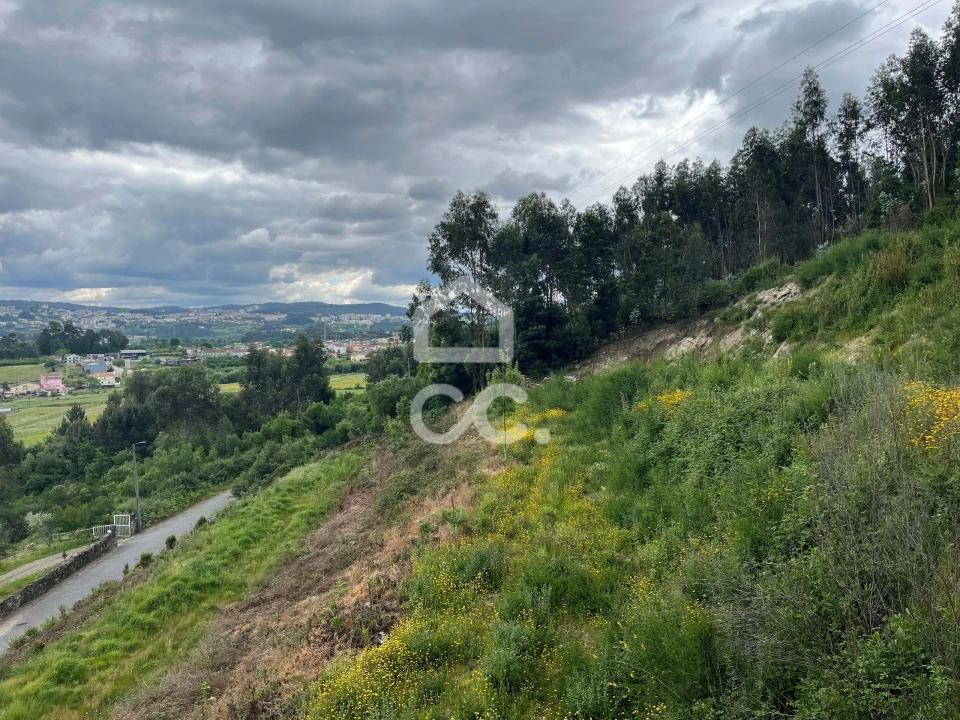 Terreno para Venda em Paredes Foto 1