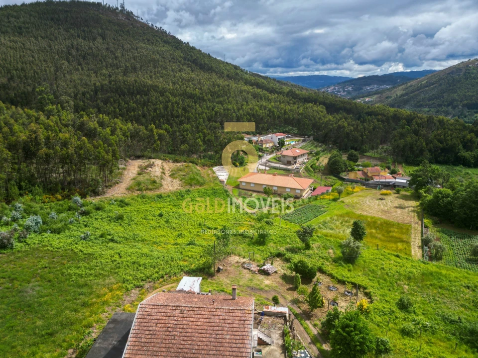 Terreno para Venda em Santa Maria de Sardoura Foto 5