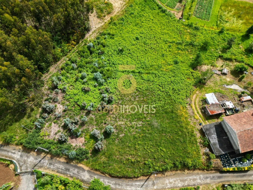 Terreno para Venda em Santa Maria de Sardoura Foto 1
