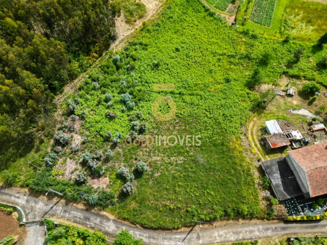 Terreno para Venda em Santa Maria de Sardoura