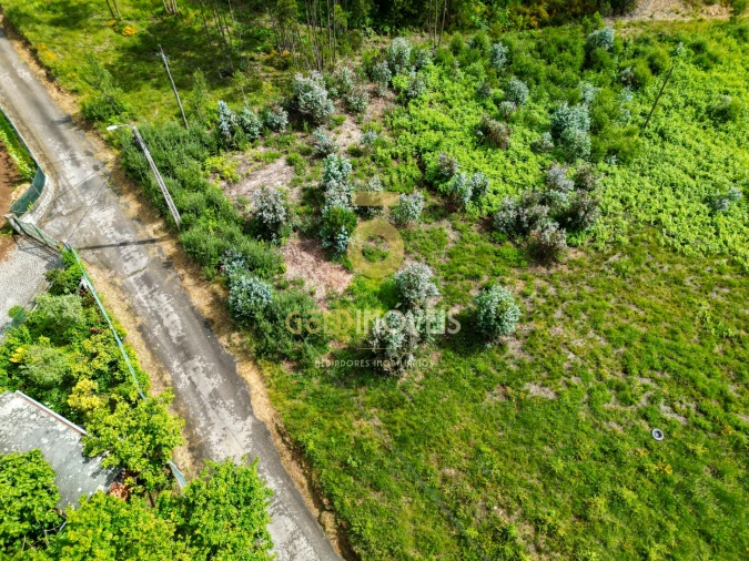 Terreno para Venda em Santa Maria de Sardoura Foto 8