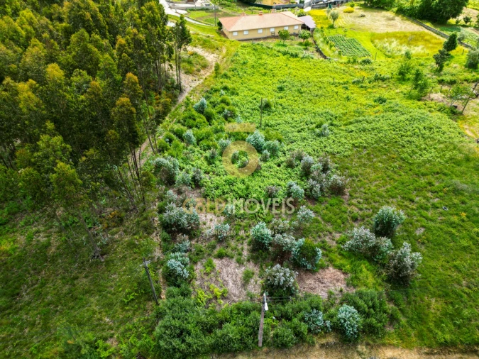 Terreno para Venda em Santa Maria de Sardoura Foto 3