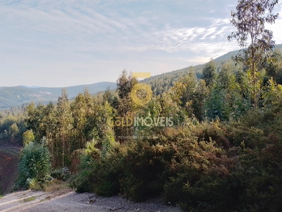 Terreno Agricola ou Rústico para Venda em Raiva, Pedorido e Paraíso Foto 1