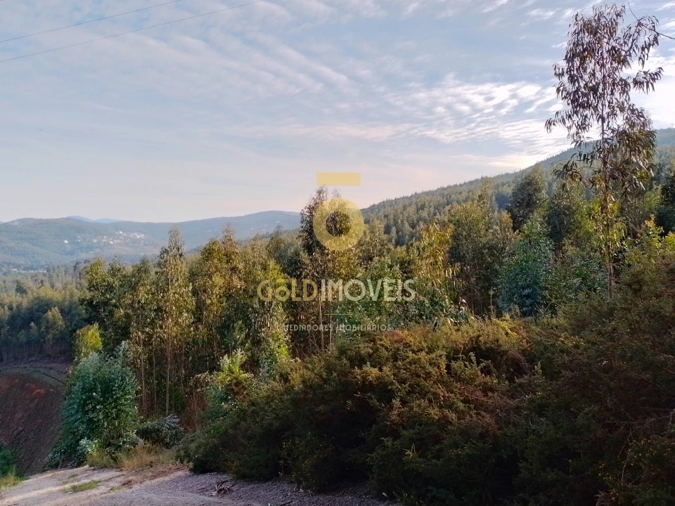 Terreno Agricola ou Rústico para Venda em Raiva, Pedorido e Paraíso Foto 3