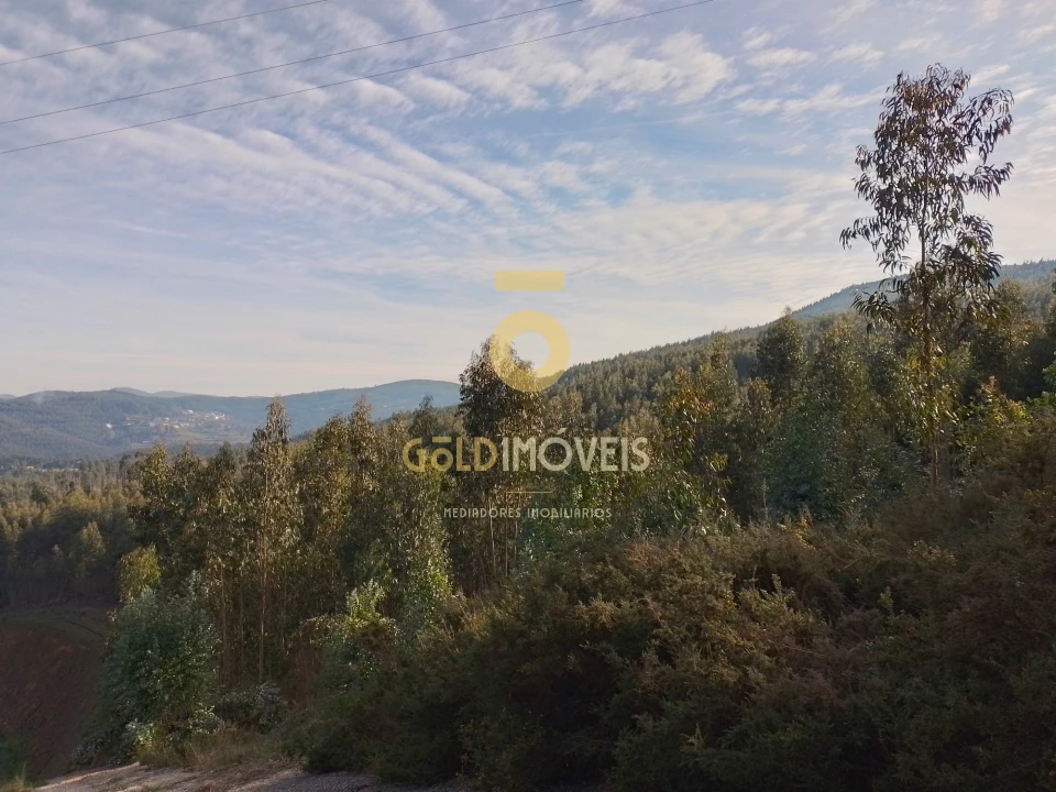 Terreno Agricola ou Rústico para Venda em Raiva, Pedorido e Paraíso Foto 4