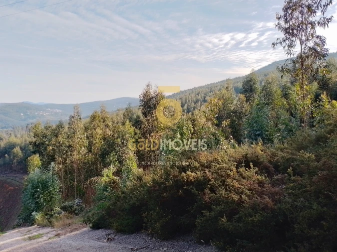 Terreno Agricola ou Rústico para Venda em Raiva, Pedorido e Paraíso