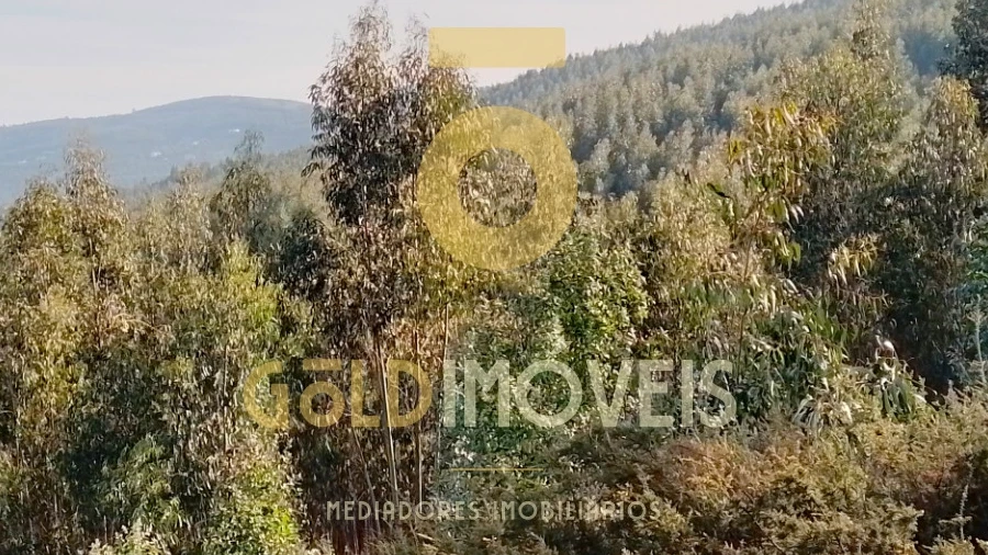 Terreno Agricola ou Rústico para Venda em Raiva, Pedorido e Paraíso