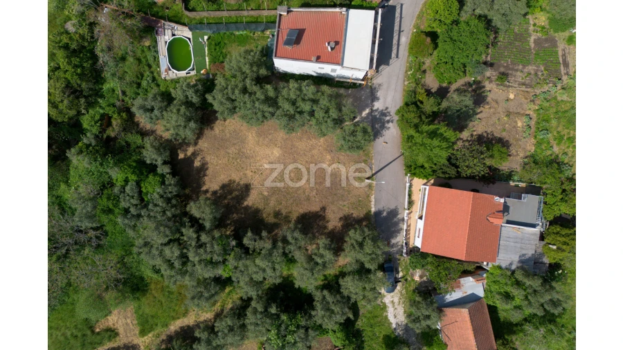 Terreno para Venda em Santiago e São Simão de Litém e Albergaria dos Doze Foto 3