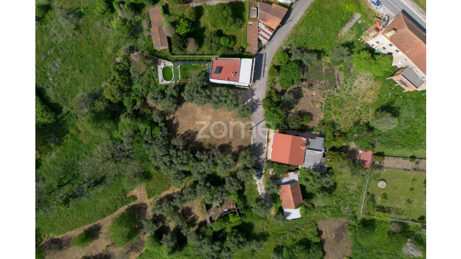Terreno para Venda em Santiago e São Simão de Litém e Albergaria dos Doze Foto 5