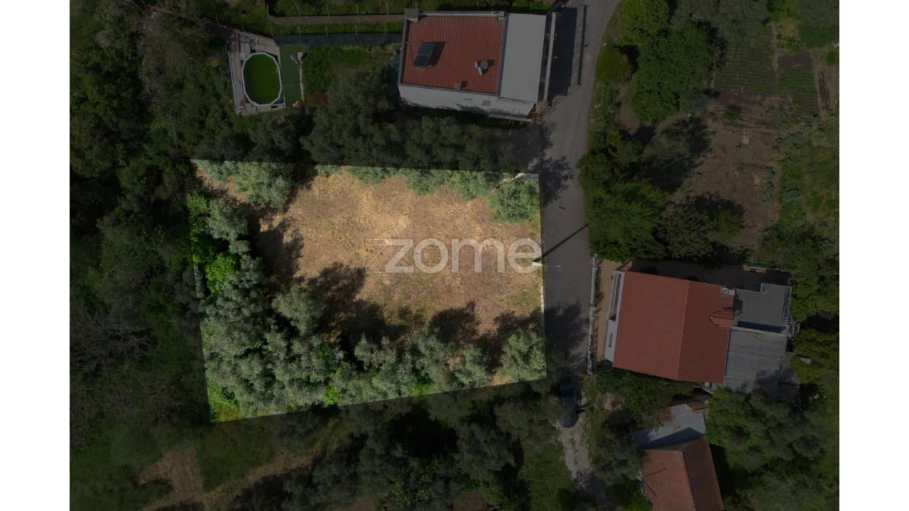 Terreno para Venda em Santiago e São Simão de Litém e Albergaria dos Doze Foto 2