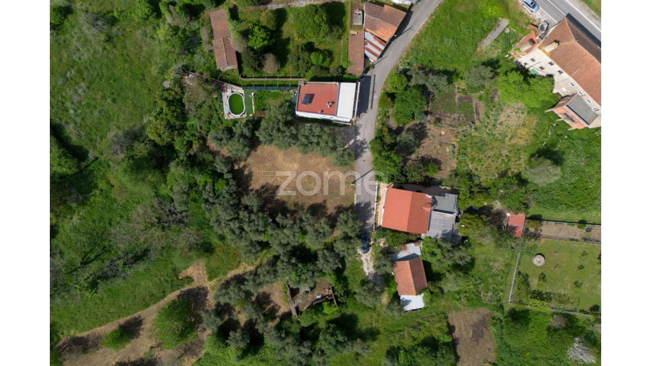 Terreno para Venda em Santiago e São Simão de Litém e Albergaria dos Doze Foto 5
