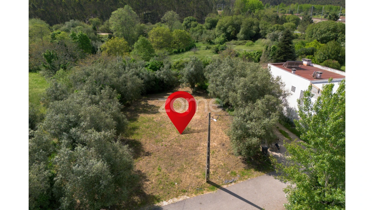 Terreno para Venda em Santiago e São Simão de Litém e Albergaria dos Doze Foto 20