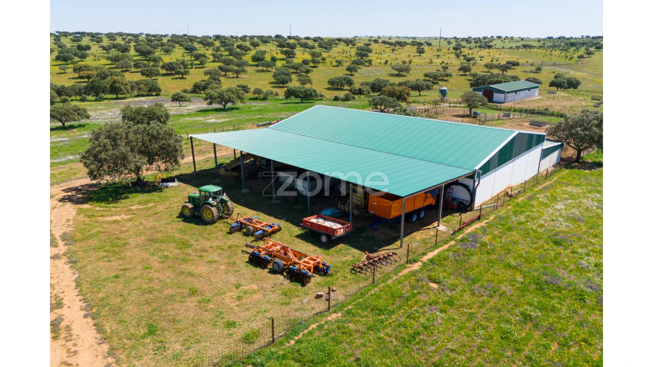 Quinta T5 para Venda em Campo e Campinho Foto 55