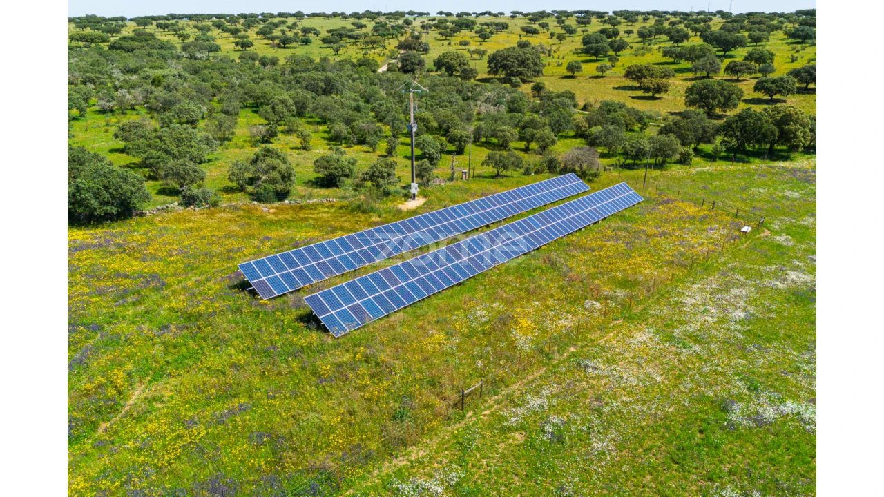 Quinta T5 para Venda em Campo e Campinho Foto 59