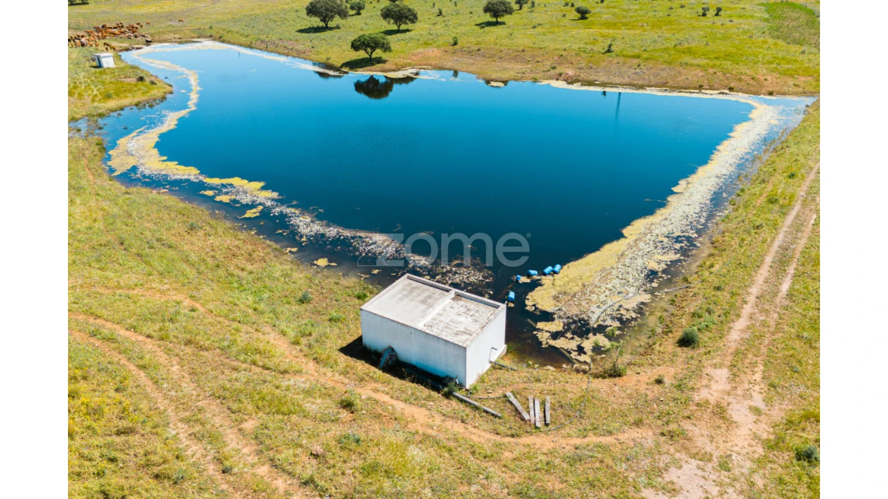 Quinta T5 para Venda em Campo e Campinho Foto 62