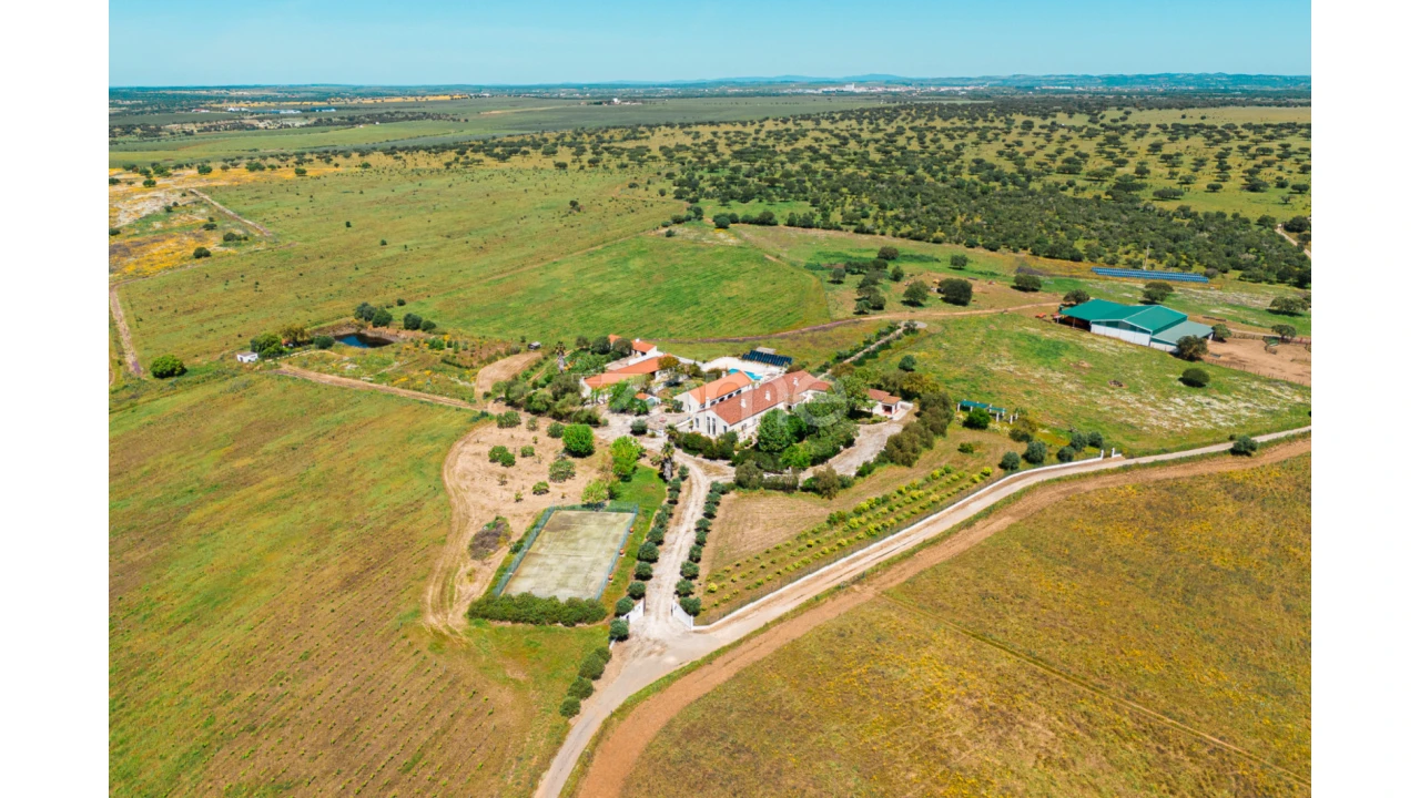 Quinta T5 para Venda em Campo e Campinho Foto 3