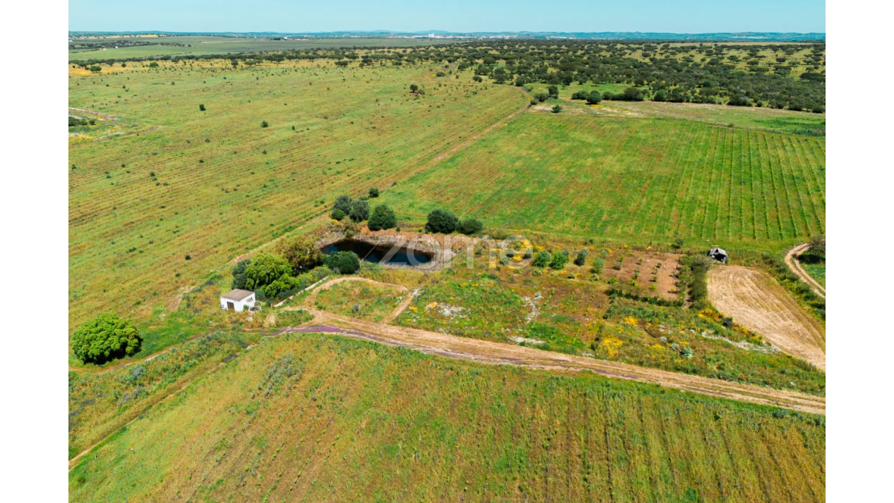 Quinta T5 para Venda em Campo e Campinho Foto 64