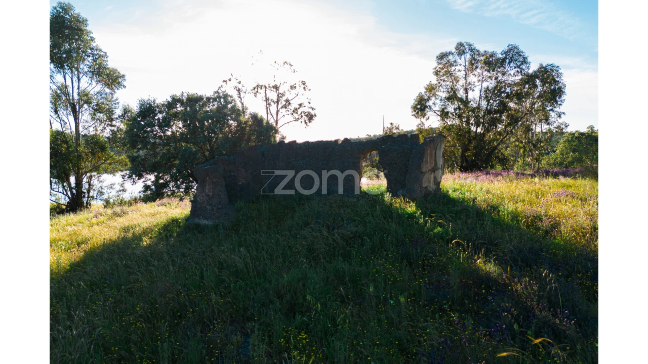 Quinta T5 para Venda em Campo e Campinho Foto 68