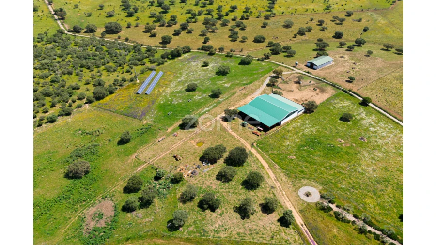 Quinta T5 para Venda em Campo e Campinho Foto 58