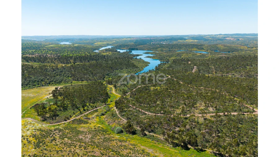 Quinta T5 para Venda em Campo e Campinho Foto 63