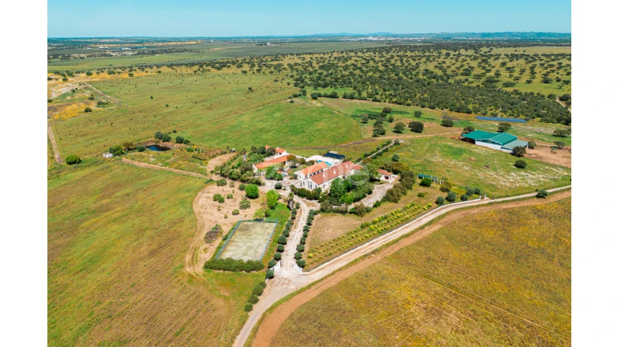 Quinta T5 para Venda em Campo e Campinho Foto 3