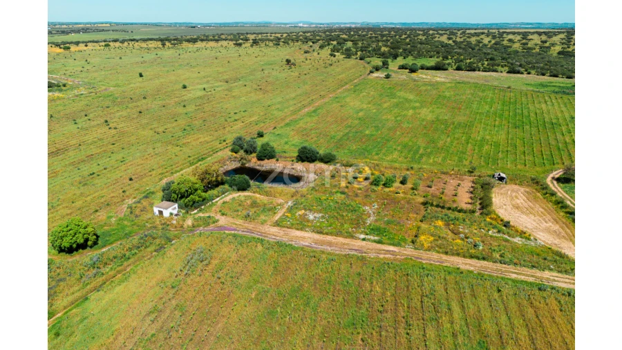 Quinta T5 para Venda em Campo e Campinho Foto 64
