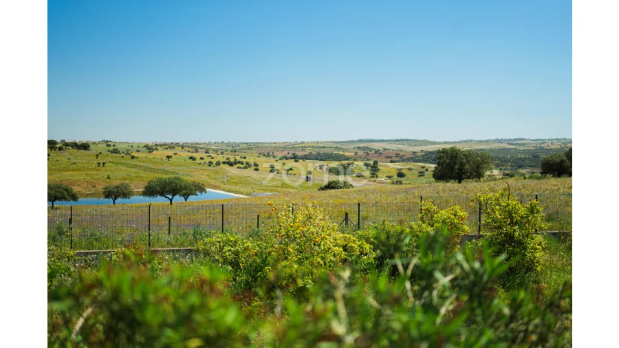 Quinta T5 para Venda em Campo e Campinho Foto 73