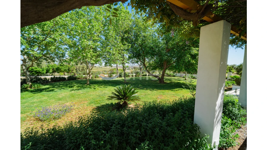 Quinta T5 para Venda em Campo e Campinho Foto 74