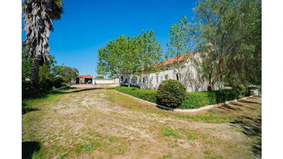 Quinta T5 para Venda em Campo e Campinho Foto 46