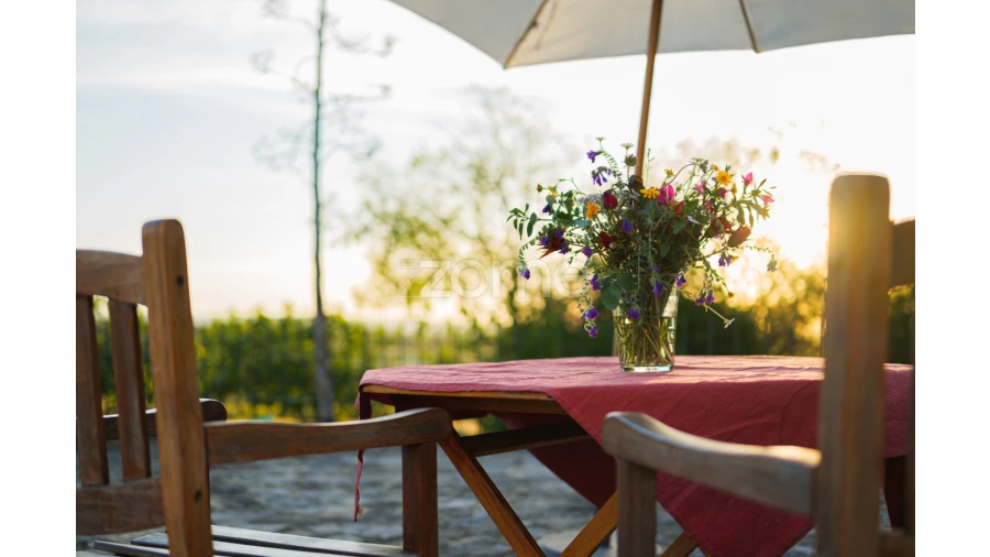 Quinta T5 para Venda em Campo e Campinho Foto 6