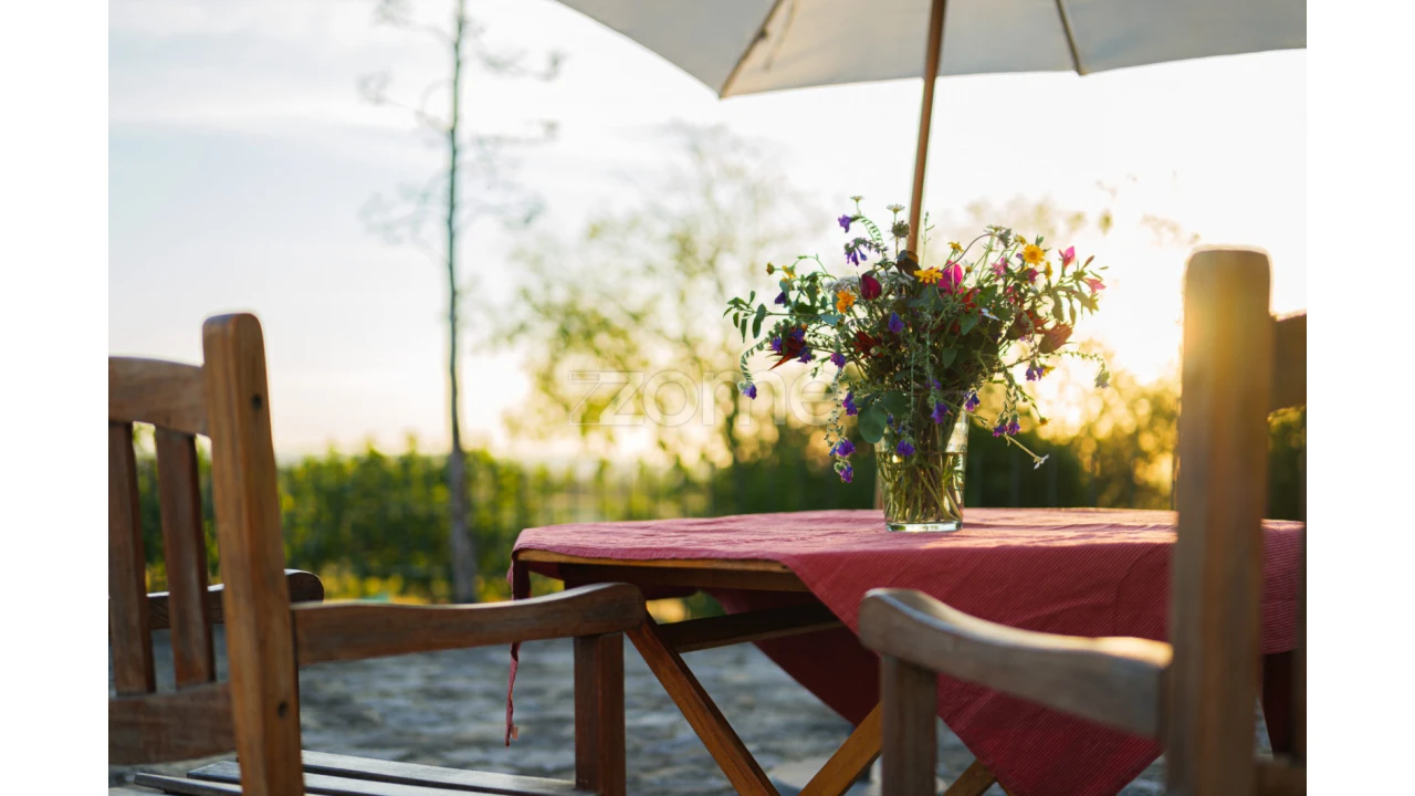 Quinta T5 para Venda em Campo e Campinho Foto 6