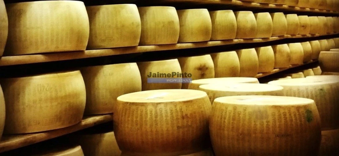 Armazém para Venda em Gouveia (São Pedro e São Julião) Foto 2