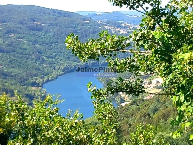 Terreno para Venda em Alpendorada, Várzea e Torrão Foto 4