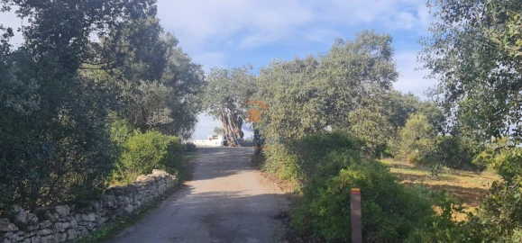 Terreno para Venda em São Brás de Alportel