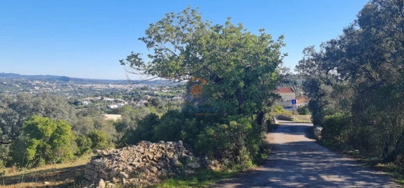 Terreno para Venda em São Brás de Alportel