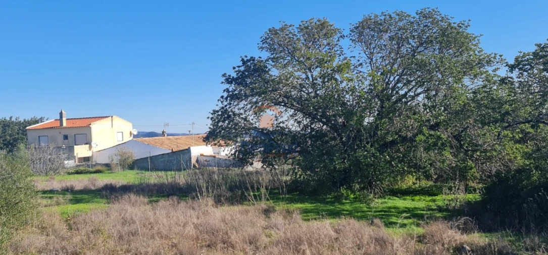 Terreno para Venda em São Brás de Alportel Foto 9
