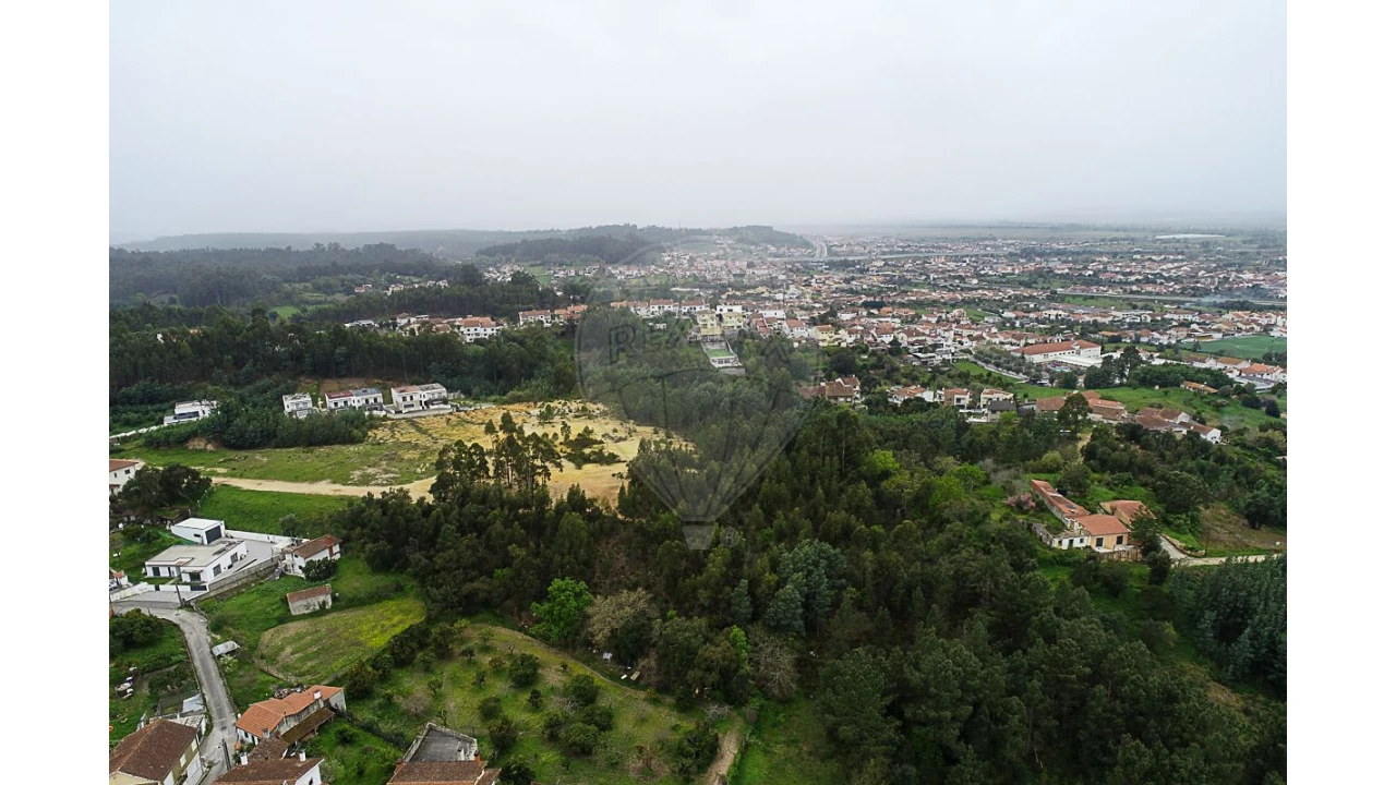 Terreno para Venda em São Martinho do Bispo e Ribeira de Frades Foto 12