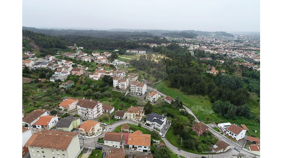 Terreno para Venda em São Martinho do Bispo e Ribeira de Frades Foto 11