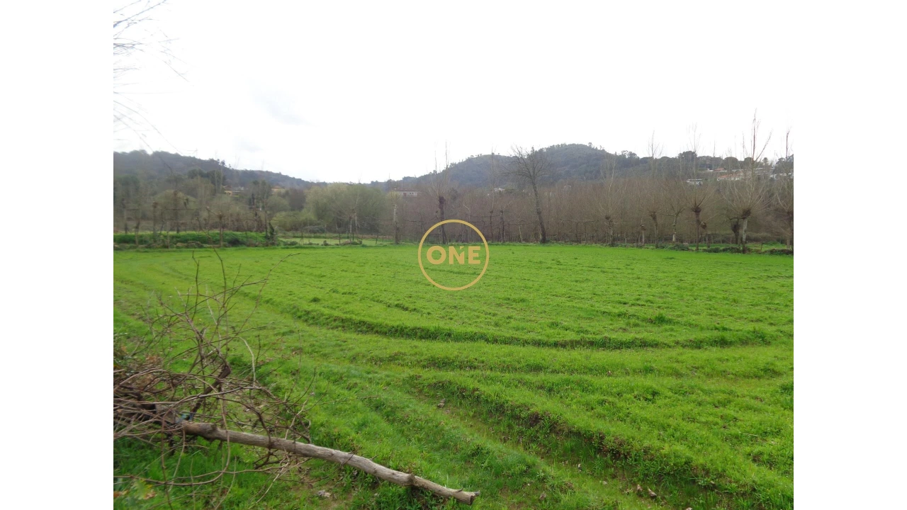 Terreno para Venda em Adaufe Foto 5