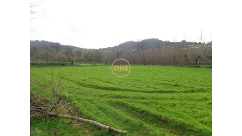 Terreno para Venda em Adaufe