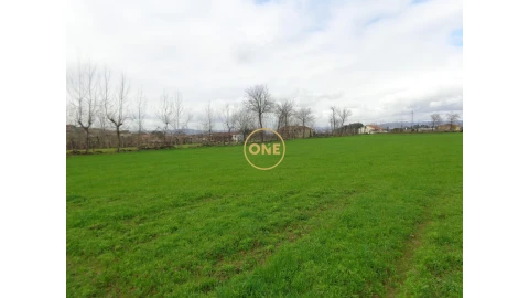 Terreno para Venda em Adaufe
