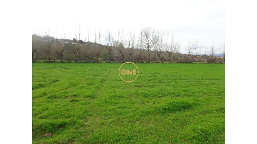 Terreno para Venda em Adaufe Foto 6