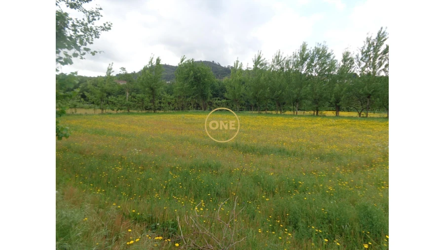 Terreno para Venda em Adaufe Foto 12