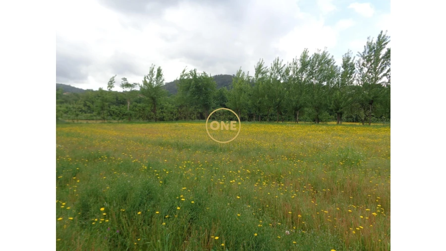 Terreno para Venda em Adaufe Foto 15