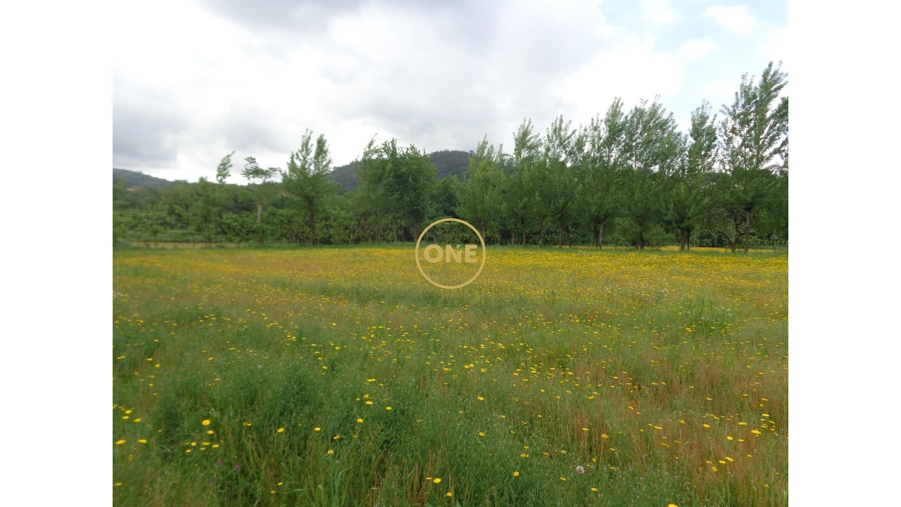 Terreno para Venda em Adaufe Foto 15
