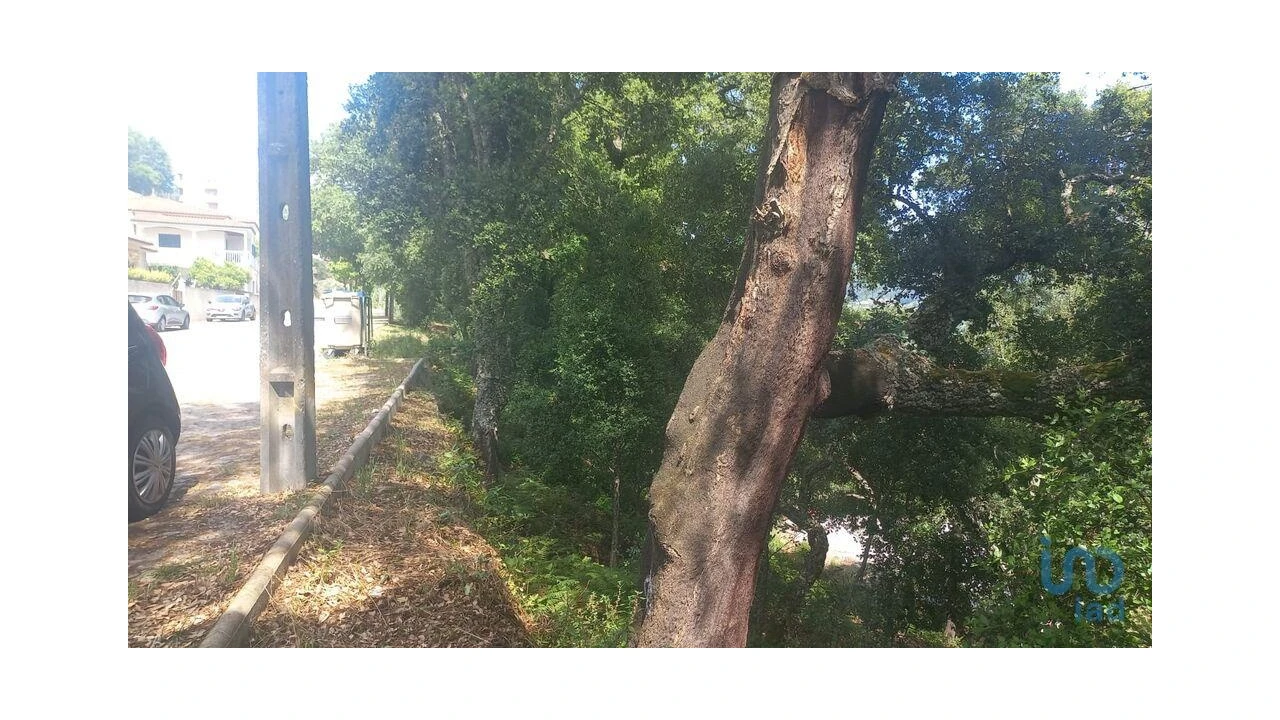 Terreno para Venda em Frende Foto 7