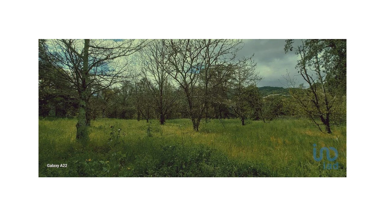 Terreno para Venda em Frende Foto 8