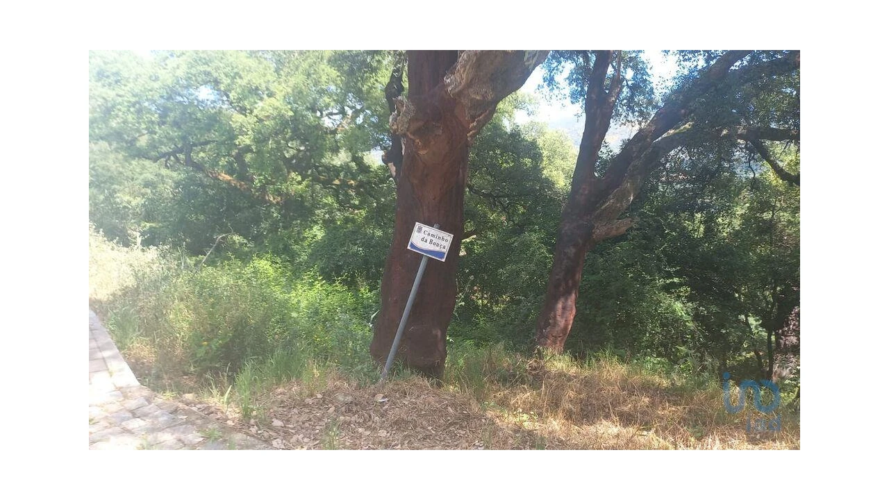 Terreno para Venda em Frende Foto 13