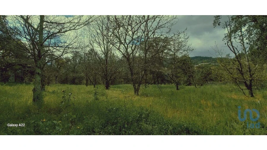 Terreno para Venda em Frende Foto 8