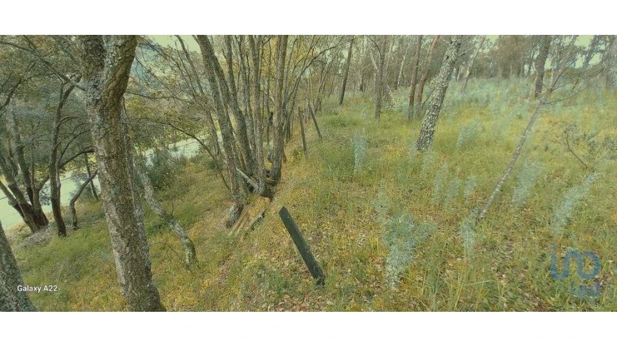 Terreno para Venda em Frende Foto 6